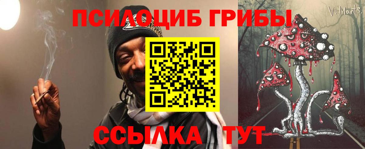 Псилоцибиновые грибы Magic Shrooms  Вход с VPN  Красноармейск  Галлюциногенные грибы прущие грибы 